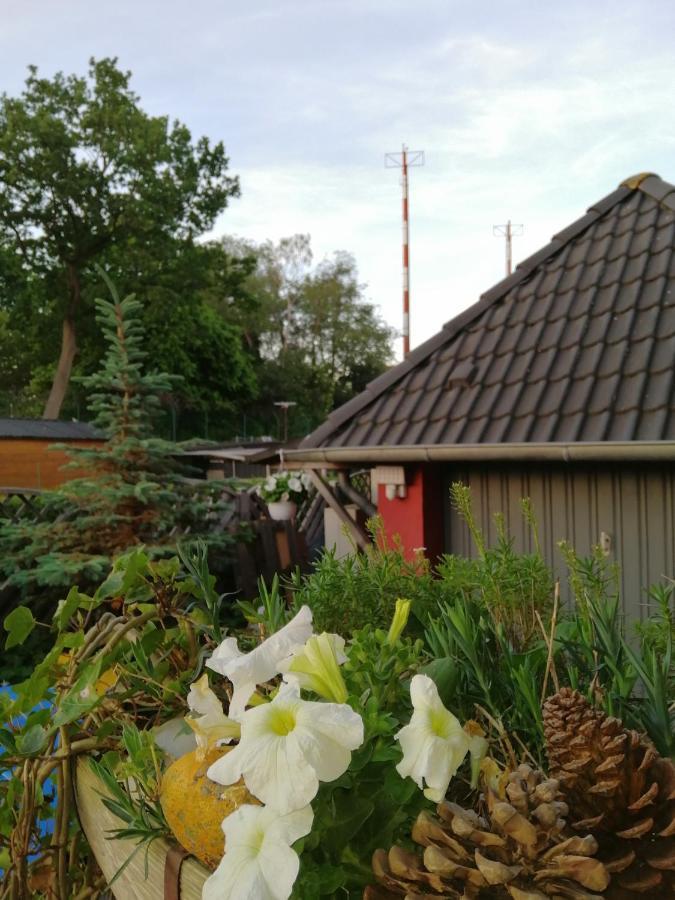 Backstage Apartment Kiel-Holtenau Exterior foto